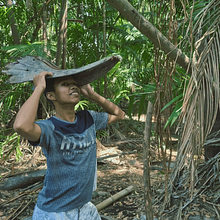 Tala. Concept Art, Fotografia artística, e Fotografia projeto de Douglas Lima dos Reis - 28.12.2025