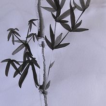 Shinkushi - Four Gentleman. Un projet de Illustration traditionnelle, Beaux Arts, Peinture, Dessin et Illustration à l'encre de rhirie - 03.01.2026