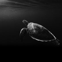 j. Business, Comunicação, Marketing de conteúdo, Marketing digital, Marketing para Facebook, Growth Marketing, Marketing para Instagram, Marketing, Mobile Marketing, Redes sociais, Design para redes sociais, Stor, e telling projeto de Luan Gustavo - 03.01.2026