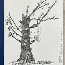 Ink Drawings Ein Projekt aus dem Bereich Illustration mit Tinte und Traditionelle Illustration von Anke Weber - 04.01.2026