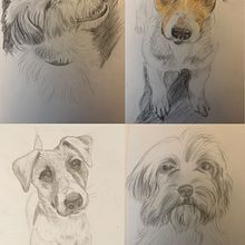 Szkicownik z psami: Najlepsi modele mają cztery łapy. Desenho, Desenho a lápis, Ilustração tradicional, e Sketchbook projeto de Ewa Szymczak - 06.01.2026