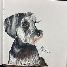 Perros. Traditional illustration, and Naturalistic Illustration project by martha625t094 - 01.08.2026