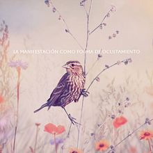 Manifestarea ca formă de ascundere . Fotografie de artă plastică de Javier Fernández - 01.13.2026