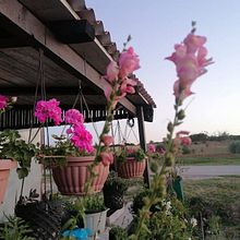 From Construction Waste Dump to Cozy Home. DIY, Design, Stor, telling, Interior Design, Architecture, Furniture Design, and Making project by Hanna Lj. Kuštera - 01.14.2026