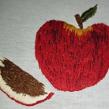Bordado por fora bela viola, por dentro pão bolorento Ein Projekt aus dem Bereich Handwerk und Stickerei von Keisy Rodrigues - 18.01.2026