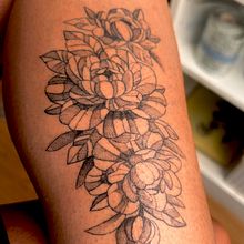 Primer tattoo. Concepto botanico puntillismo de arrastre . Design tatuaj, Ilustrație tradițională & Ilustrație botanică de Alexis Caro Carvajal - 01.19.2026