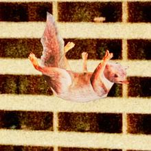 BALCONING - VISCOPAF . animație 2D, Direcția artistică și Editare video de Benja Fernández - 01.20.2026