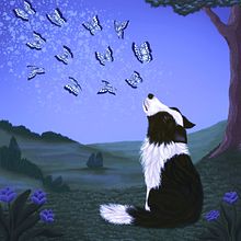 Dreaming dog Ein Projekt aus dem Bereich Digitale Illustration von Shannon Carter - 21.01.2026