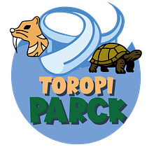 Portadas de videos de tratamientos que se realiza en la estetica. Un progetto di Graphic design di Luz Rodriguez - 27.01.2026