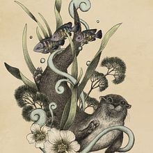 De nutrias y rayitas. Projekt z dziedziny  R, sunek, Ilustracja naturalist i czna użytkownika Dayananda Foraois - 28.01.2026