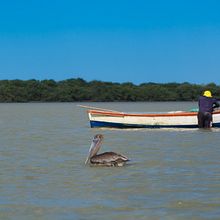 mirando las aves . % Jaime Causil lozano tarafından hazırlanan Fotoğrafçılık, Dijital Fotoğrafçılık, Fotoğrafik Kompozis, Ve on projesi - 01.28.2026