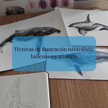 Técnicas de ilustración naturalista:ballenas en acuarela. Un progetto di Illustrazione naturalistica, Pittura, Pittura ad acquerello e Belle arti di Ana Mainar Juste - 28.01.2026