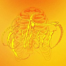 Elisa anatómicamente correcta.. Lettering, and Digital Drawing project by Elisa Herrera - 01.30.2026