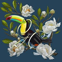 Giana Carvalho et ses passions. Un projet de Illustration numérique de Giana Tenius - 30.01.2026