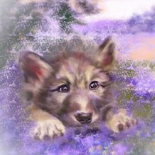 Wolf cub in digital painting . Un proyecto de Ilustración digital, Pintura digital e Ilustración tradicional de Michela Gissi - 04.02.2026