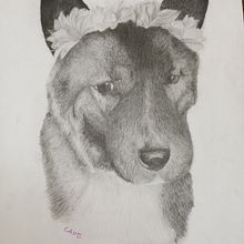 Retratos de mascotas a grafito. Projekt z dziedziny  R, sunek, Portret, R, sunek realist i czn użytkownika Canela Jimenez Marchant - 05.02.2026