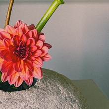 Less is more like Ikebana. Decoration, Floral, Plant Design, Interior Decoration & Interior Design project by Serap Güneri - 02.19.2026