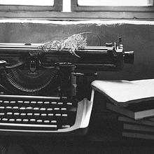 Solace of Kindred Souls screenplay. Communication, Creative Writing, and Script project by Archibald Matthew Krisbiantoro - 02.19.2026