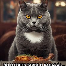 San Valentín bate la cola. Cop, writing, Creativit, Marketing, Advertising, and Content Writing project by Pili Ramirez - 02.21.2026