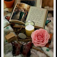 Organic Spontaneity. Design project by Rimgaudas Gudaitis - 02.22.2026