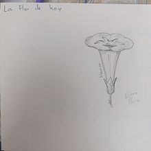 Mi diario ilustratado  . Arte plastice, Schițe, Creativitate, Desen, Caiet de schițe și Atenție de Diana - 02.25.2026