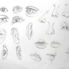 Estudio del cuerpo humano. Traditional illustration, Drawing, and Figure Drawing project by Tingting Pan - 02.28.2026