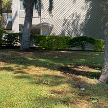 Coral Agisoft. 3D, 3D Design, Game Design, 3D Modeling, and Video Games project by sarahpachecolete23 - 03.01.2026