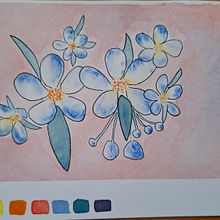 Proyecto final paleta personal. Fine Arts, Traditional illustration, Painting, Watercolor Painting, and Color Theor project by Pancha Godoy - 03.07.2026