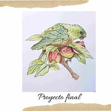 Cachaña sobre el manzano . Un projet de Illustration botanique, Illustration numérique, Illustration traditionnelle, Illustration à l'encre, Illustration naturaliste, Peinture , et Aquarelle de Ana Laura Moreno Díaz - 10.03.2026