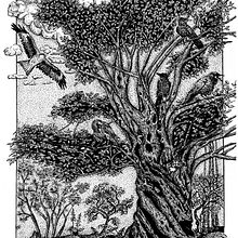 viel arbre à l'encre de chine. Een project van  Illustratie met inkt y Naturalistische illustratie van p_m_guinchard - 14.03.2026