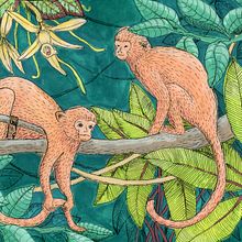 Lounging in the wild. Creativit, Drawing, Artistic Drawing, Traditional illustration, Ink Illustration, Acr, lic Painting, and Gouache Painting project by asia_hill - 03.16.2026