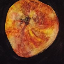 Peachy Pink Textures  . % Helen Duley tarafından hazırlanan Botanik İllüstras, on, Çizim, Güzel sanatlar, Geleneksel illüstras, on, Tablo, Sulubo, Ve a Resim projesi - 03.17.2026