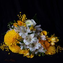 Spring Present . Fotografi Seni Rupa, Fotografi Produk, Dan Fotografi proyek oleh annavcia - 03.19.2026