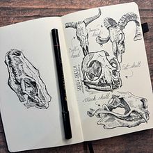 Skulls. Un progetto di Bozzetti, Creatività, Disegno, Illustrazione tradizionale e Sketchbook di Marco - 28.03.2026