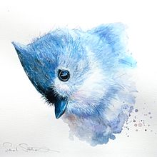 Expressive watercolour painting of a tufted titmouse  . Pictură în acuarelă, Desen artistic și Pictura de Sarah Stokes - 04.01.2026