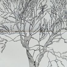 Ulivo . % Chiara Baldinelli tarafından hazırlanan Geleneksel illüstras, on, Çizim, Eskiz defteri, Mürekkep İllüstras, Ve onu projesi - 04.05.2026