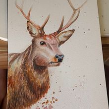 Exercises . % Kriséven Campana tarafından hazırlanan Gerçekçi Çizim, Geleneksel illüstras, on, Doğalcı İllüstras, on, Sulubo, Ve a Resim projesi - 04.05.2026