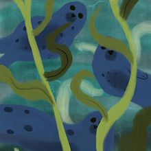 Seals in the water . Drawing, and Digital Illustration project by melloravenwood - 04.07.2026