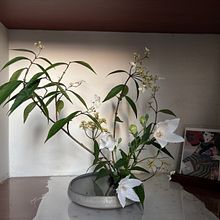 Spring Stillness – A Journey through Traditional Ikebana Ein Projekt aus dem Bereich Dekoration von Innenräumen, Blumen- und Pflanzendesign und Innenarchitektur von Wing Yan Lau - 10.04.2026