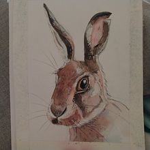 Liebre con acuarelas . % tiatula tarafından hazırlanan Geleneksel illüstras, on, Sulubo, a Resim, Güzel sanatlar, Doğalcı İllüstras, Ve on projesi - 04.10.2026