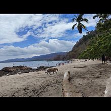 Jaguar en la playa . % fabian_sscr tarafından hazırlanan Dijital İllüstras, on, Fotoğrafçılık, Yapa, Ve Zeka projesi - 04.11.2026