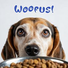 Woofus! Ein Projekt aus dem Bereich Kommunikation, Content-Marketing, Digitales Marketing, Marketing für Facebook, Growth Marketing, Marketing für Instagram, Marketing und Social Media von Cristina Alfonzo El Homsi - 15.04.2026