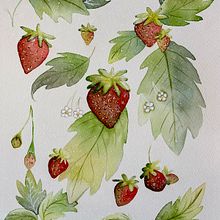 Acuarela Floral: Conecta con la Naturaleza. Un progetto di Illustrazione botanica, Illustrazione tradizionale, Pittura e Pittura ad acquerello di Lidia López León - 16.04.2026