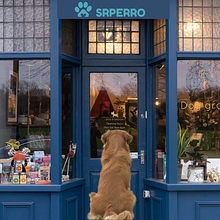 Tienda de mascotas . Un progetto di Content marketing, Marketing digitale, Marketing per Facebook, Growth Marketing, Marketing per Instagram, Marketing, Mobile marketing e Social media di Luisa Rondón - 20.04.2026