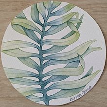 Técnicas artísticas para ilustración naturalista. Pintura Acrílica, Ilustração tradicional, Pintura em aquarela, Ilustração botânica, Desenho com lápis de cor e Ilustração com tinta projeto de Danella Ortega Graziani - 21.04.2026