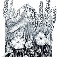 Illustrations à la plume et à l'encre. Un projet de Esquisse , Dessin, Dessin artistique, Carnet de croquis, Illustration à l'encre et Illustration naturaliste de valerievaillant - 02.05.2026