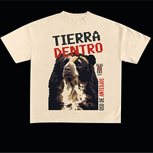 Oso de antojos 8 BITS. T, pograph, T, pograph, and Design project by Sergio Alejandro Casas Morales - 05.13.2026