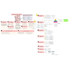 Strategic Account Management. Business, Creative Consulting, Design Management, and Marketing project by María Fernanda Vázquez Bautista - 05.18.2026