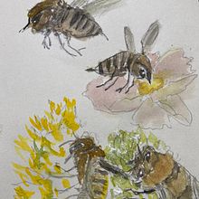 Natural watercolor scenery’s drawing ✍🏻 with some insects 🐝 . Een project van Traditionele illustratie, Schilderij y Naturalistische illustratie van Ms. Yoko Wakabayashi - 23.05.2026