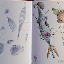 Concherba in viaggio verso non si sa dove Ein Projekt aus dem Bereich Zeichnung, Naturalistische Illustration, Bleistiftzeichnung, Sketchbook und Aquarellmalerei von Claudia Foroni - 24.05.2026